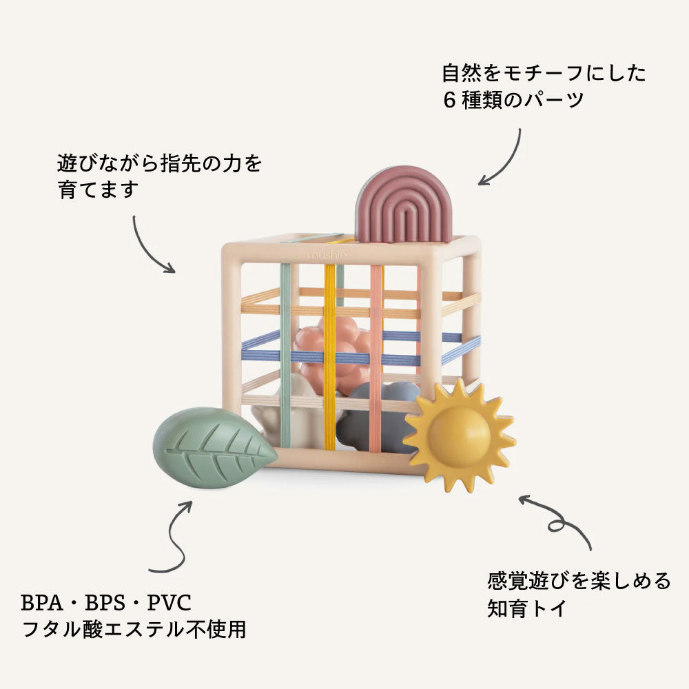 エラスティック シェイプソーター