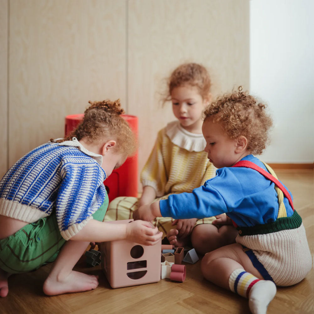 シェイプソーティングボックス  Petal